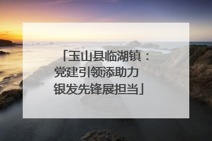 玉山县临湖镇：党建引领添助力 银发先锋展担当